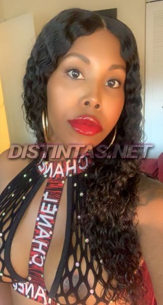 Hi guys I’m TS Vanessa I’m a sweet and sensual girl that loves to please. I ask that you have good hygiene when coming to see me. I’m very open minded and non judgmental our time together will be one that you will never forget 😘

No show appts and gamers are blocked