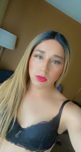 Hi, I'm a Latin girl visiting the city. I'm super sexy and ready for you, my  love. I love men however they are. I'm attractive. I'm available 24/7 to  fulfill all your fantasies. And I'm not from here, I'm just visiting for a few  days. For more information, write to me privately or call me 😘😘