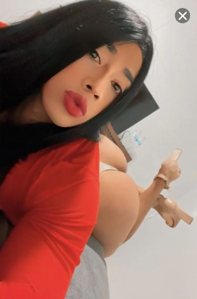 Chica latina available now 

you want to fulfill your fantasies This is the best time and day to contact me  and meet up to take you to other worlds and have fun  


I’m A Latina very respectful and passionate Man I treat every client with respect no matter what race, age, or body size. My goal