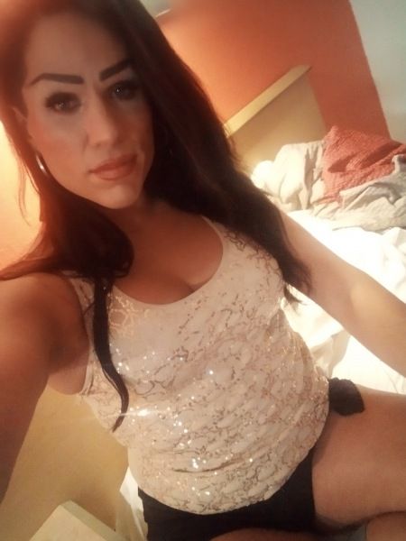 Ultimate Verse TS Aaliyah.I have but one purpose here,to make your fantasy cum to life!Want to be treated like the trans cock lover you've always known you were? You will never forget my 8" fully functional SheStick.Perhaps you want to exert your alpha male,masculine dominance over a brainless depra...